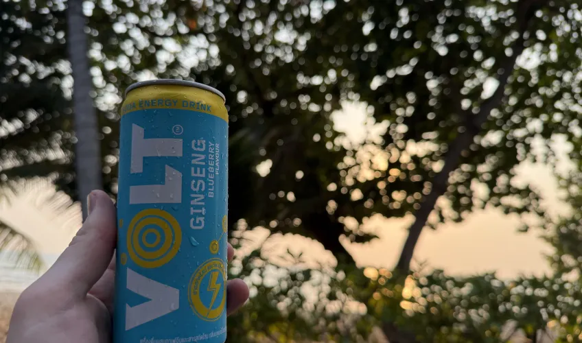 Volt Ginseng
